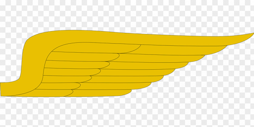 Symbol Heraldry PNG