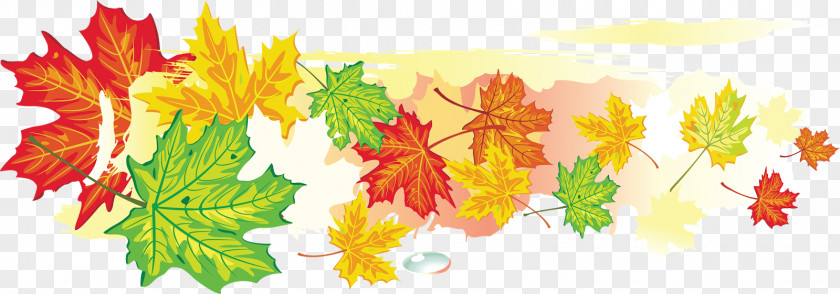 Autumn Maple Leaf Text PNG