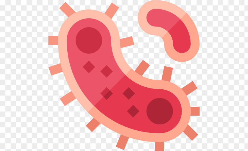 Bacterias Icon PNG