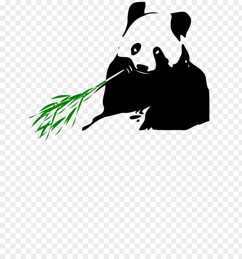 Bear Giant Panda Image Clip Art Bamboo PNG