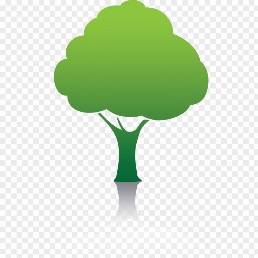 Forest Files Free Tree Desktop Wallpaper PNG