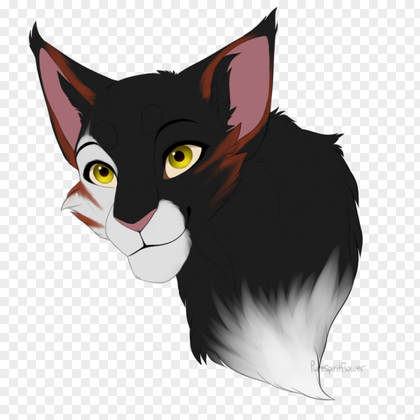 Kitten Whiskers Warriors Cat Drawing PNG