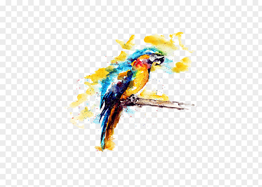 Yellow Watercolor Parrot Illustration Budgerigar Painting PNG