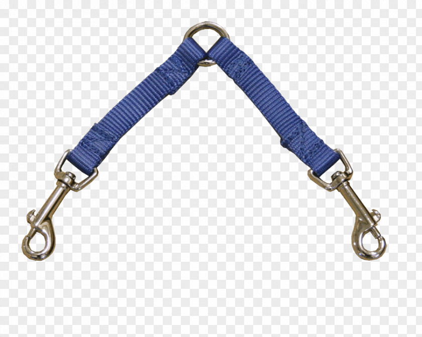 Dog Lead Leash Product PNG