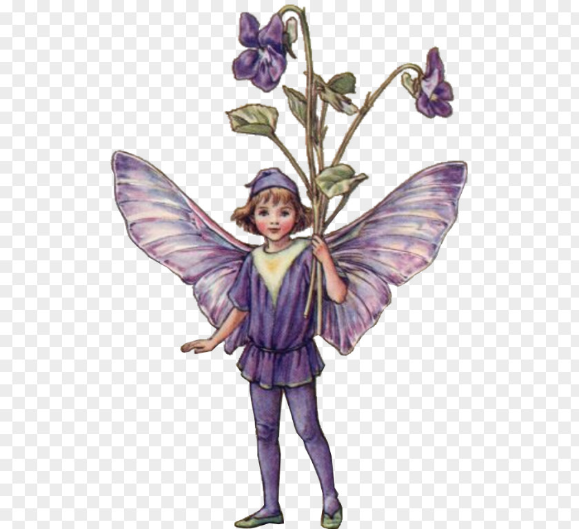 Fairy Croydon The Flower Fairies Complete Collection Of Spring Book PNG