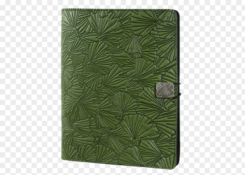 Leather Cover Tree Ferns Vascular Plant Leaf PNG