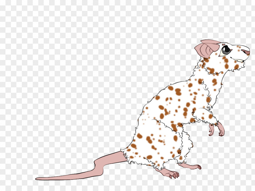Rat & Mouse Dalmatian Dog Puppy Mammal Canidae Breed PNG
