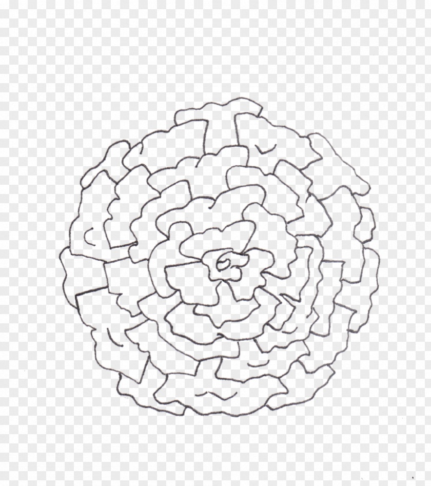 Rose Lines Line Art Point Font PNG