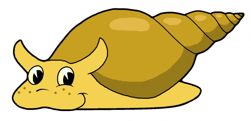 Snails Snail Slug Clip Art PNG
