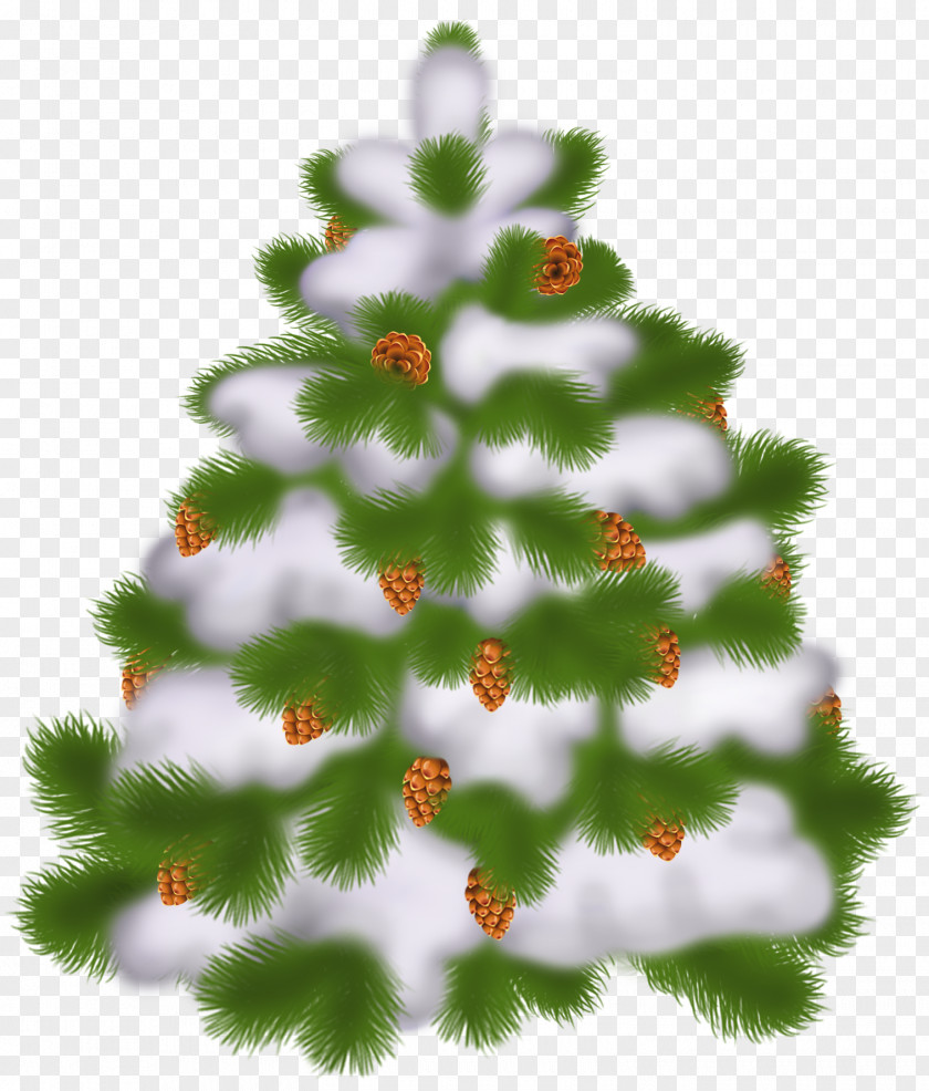 Transparent Christmas Tree With Cones Day Clip Art PNG