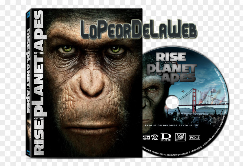 Andy Serkis Caesar Film Blu-ray Disc Planet Of The Apes El Planeta De Los Simios PNG