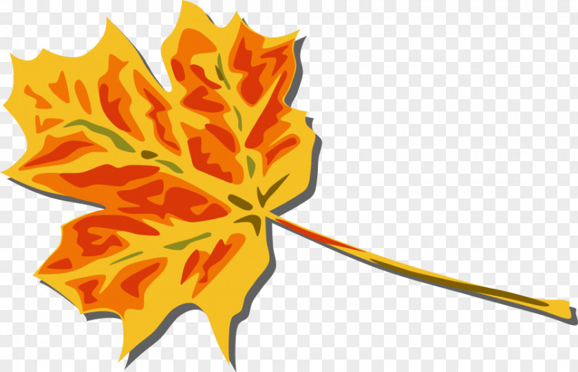 Fall Vector Art Autumn Leaf Color Clip PNG