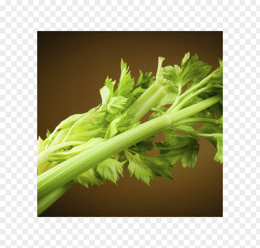 Health Coriander Celery Food Vegetable PNG
