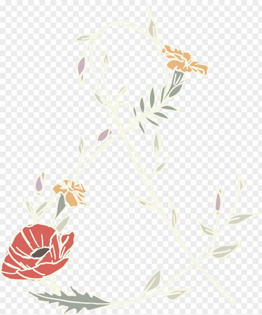 Marigold Seedlings Show July Floral Design Illustration Leaf Plant Stem PNG