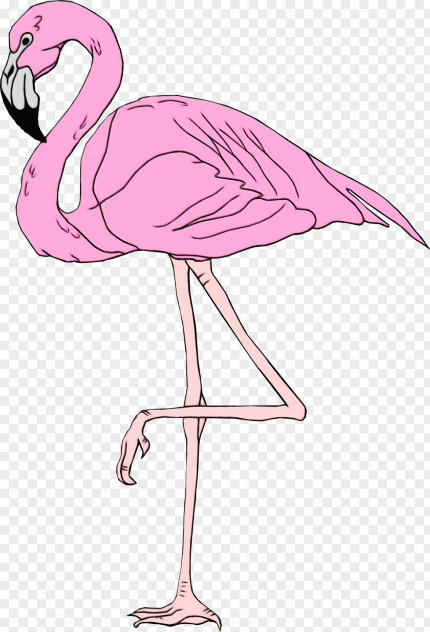 Muscle Neck Flamingo PNG