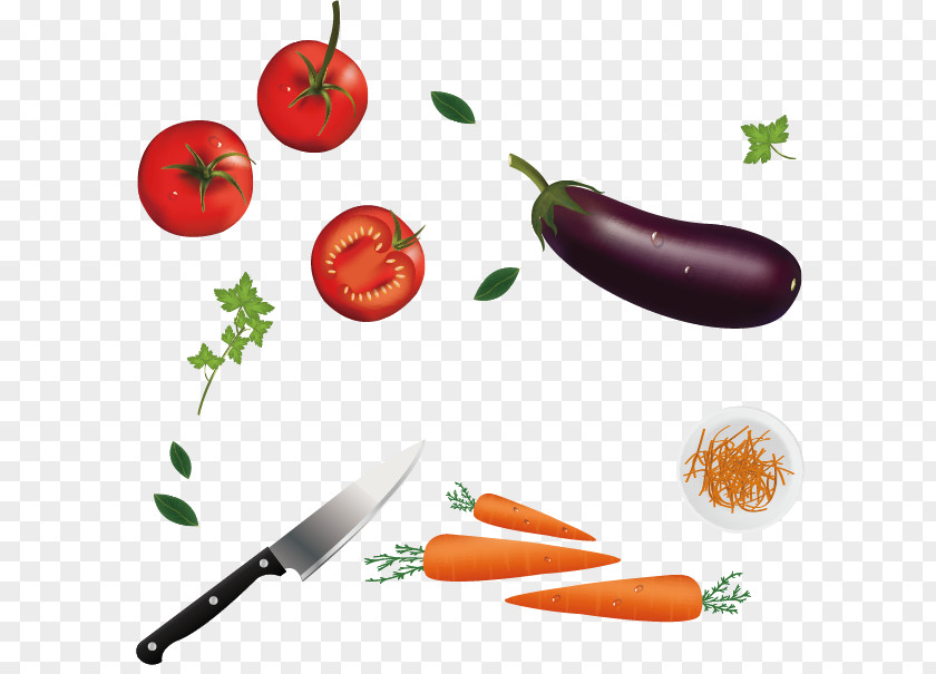 Vegetable Vector Tomato Eggplant PNG