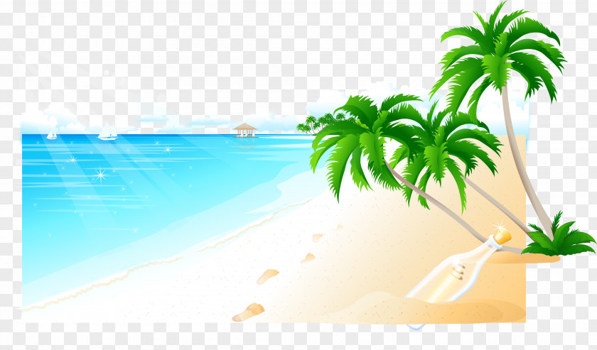 Background Material Vector Sea Coconut Arecaceae Tree PNG