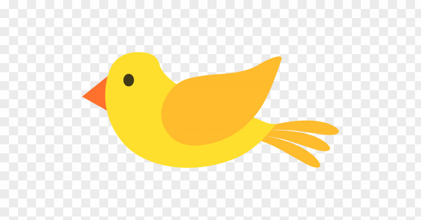 Bird Cartoon Budgerigar PNG