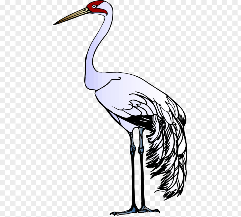 Crane Red-crowned Heron Stork Clip Art PNG