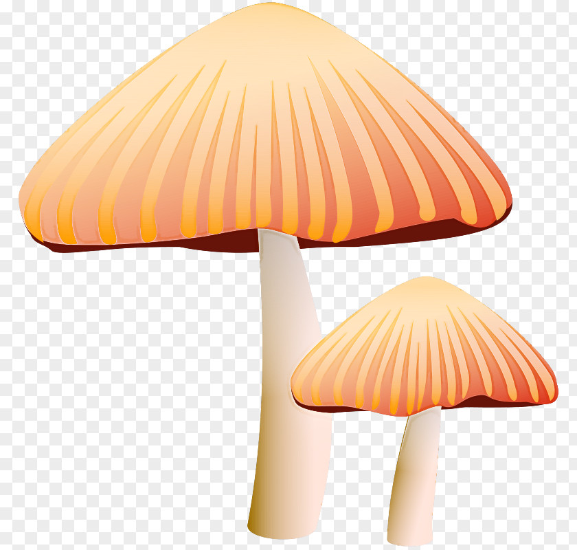 Edible Mushroom Agaricaceae Orange PNG