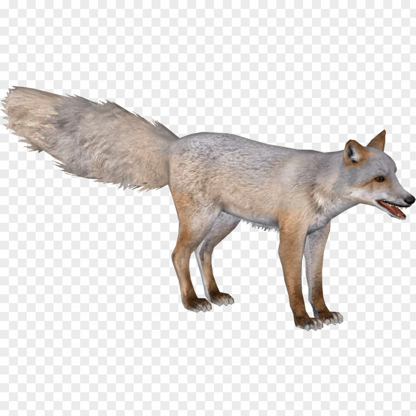 Fennec Fox Zoo Tycoon 2 Red Corsac Blanford's Gray Wolf PNG