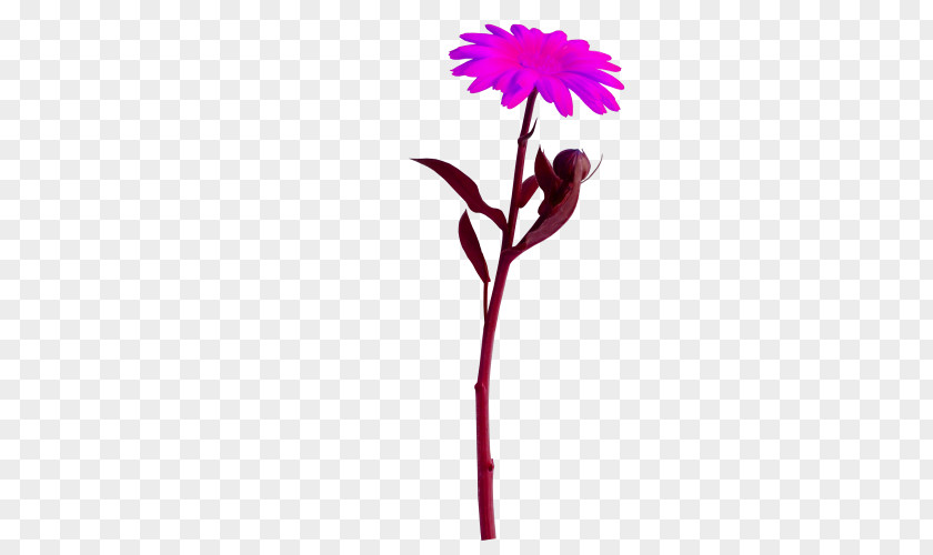 Flower Animation Clip Art PNG