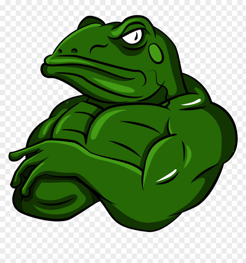 Frog Cartoon PNG