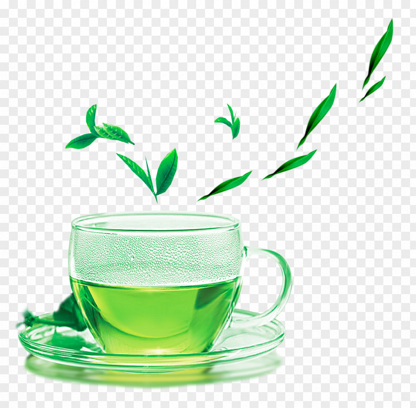 Green Tea Yum Cha The Classic Of Meitan County PNG