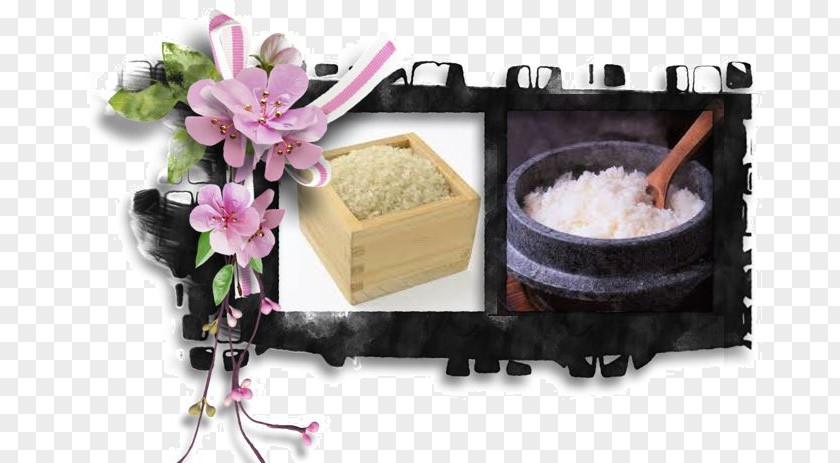 Rice Paddy Cuisine PNG