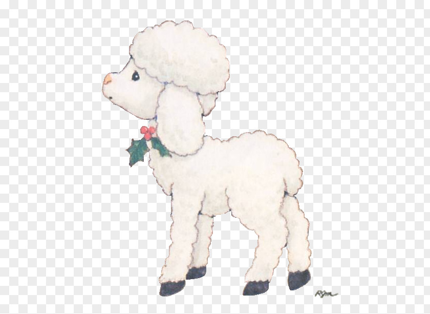 Sheep Goat Standard Poodle Image Drawing PNG