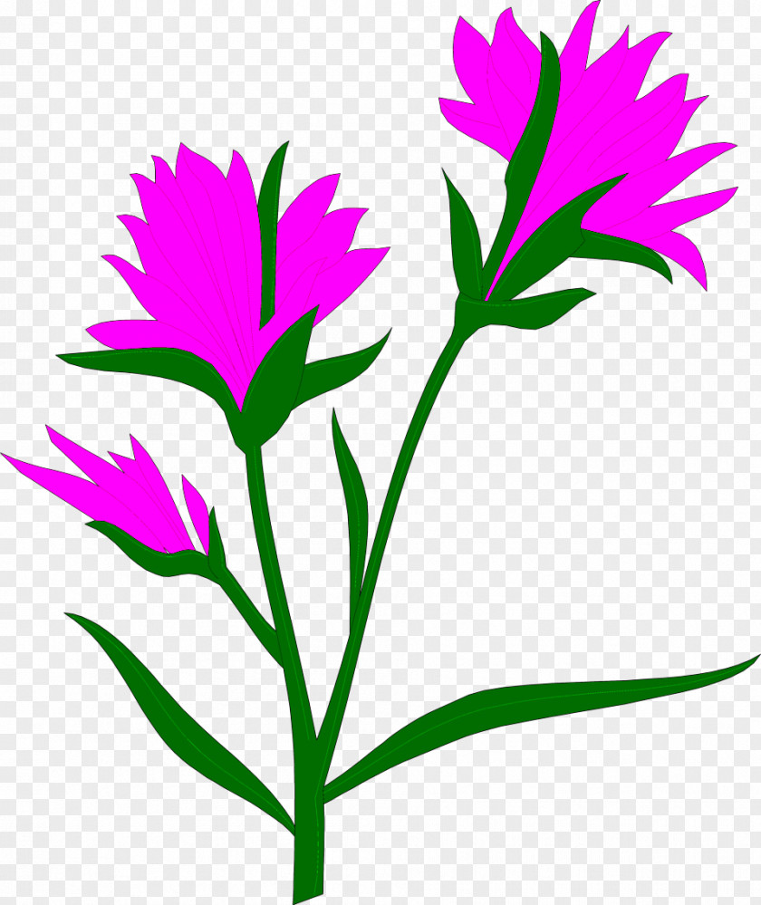 Watercolor Pink Flower Self-pollination Geitonogamy Pollen PNG