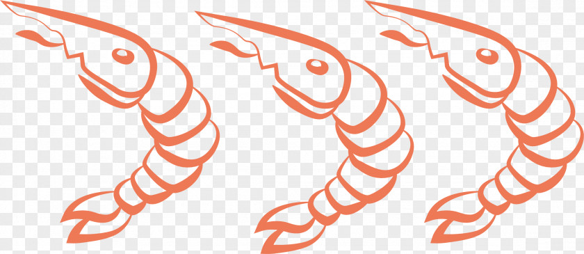 A Row Of Frozen Shrimp Caridea PNG