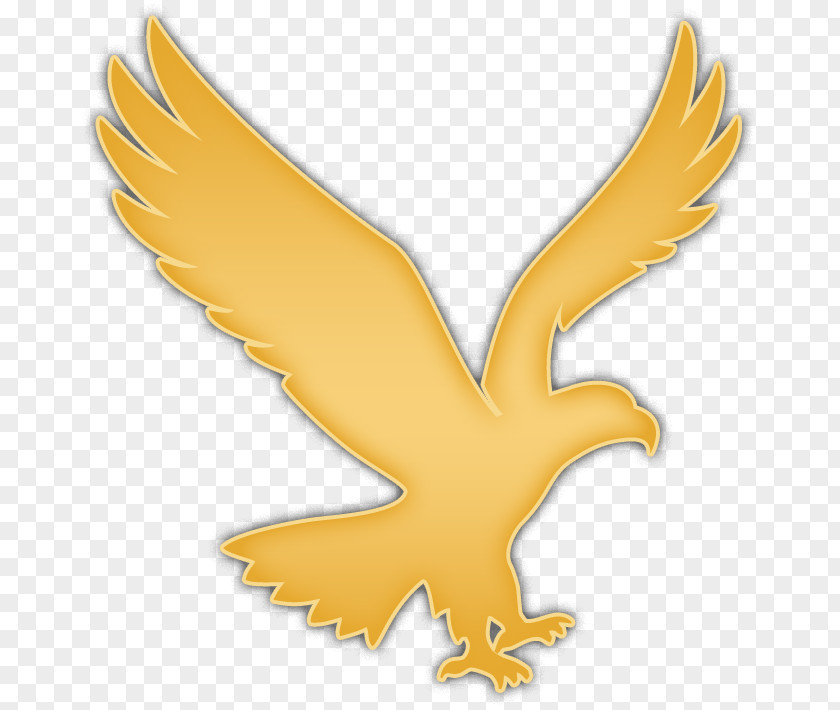 Eagle Bald Logo Clip Art PNG