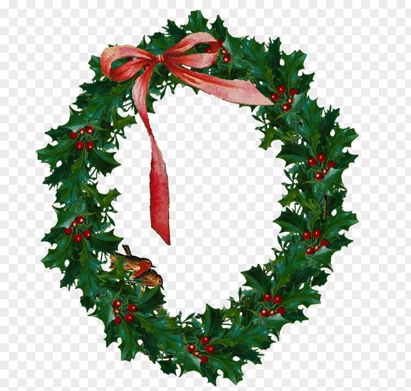 Holly Wreath Anticancer Yes To Life Therapy Nutrition PNG