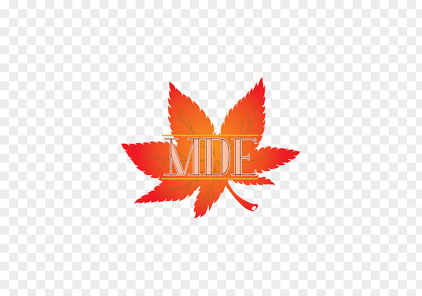Logo Maple Leaf Japanese Brand Font PNG