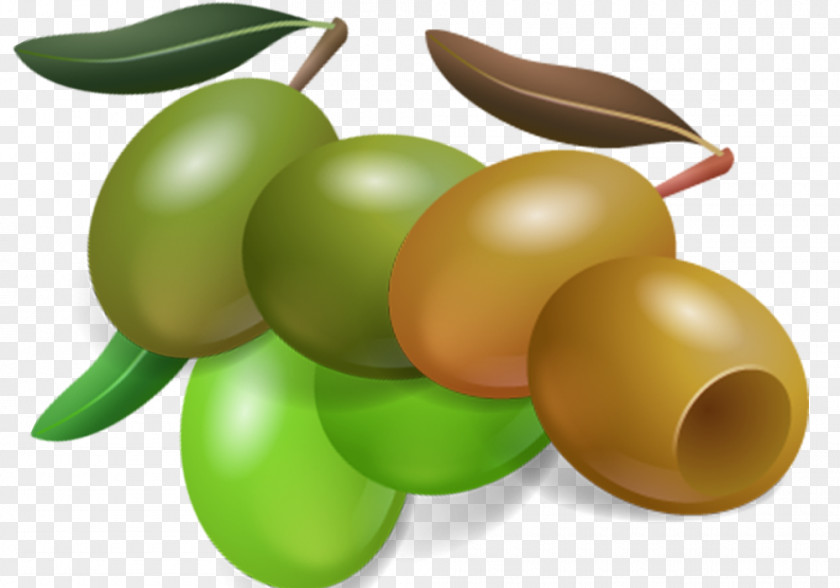 Olives Cartoon Creative Olive Oil Fruit Auglis PNG
