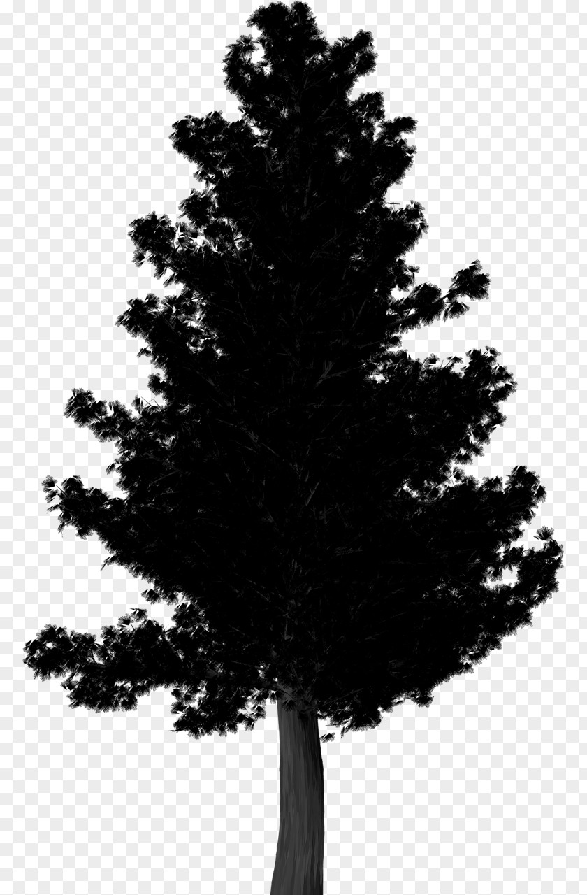 Silhouette Pine Image Clip Art Illustration PNG