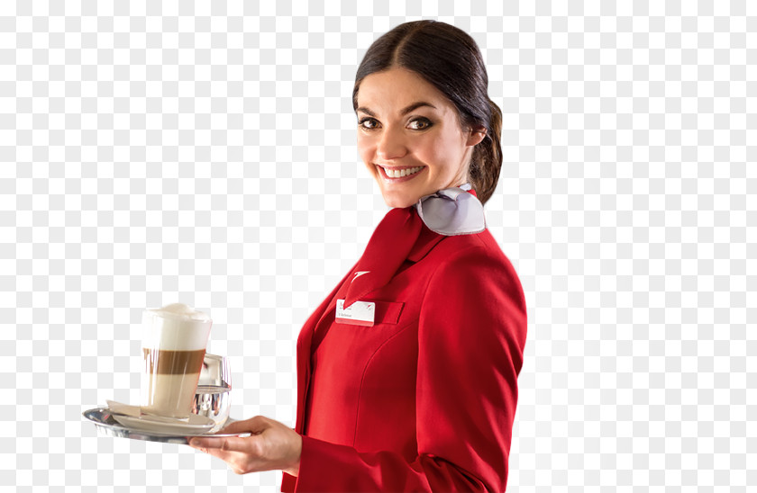 Airplane Flight Attendant Airline Aviation PNG