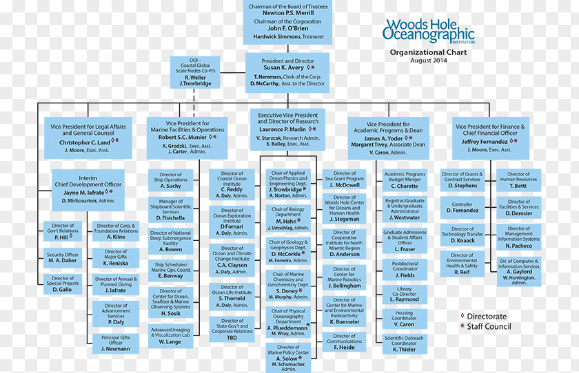 Business Non-profit Organisation Organizational Chart Structure PNG