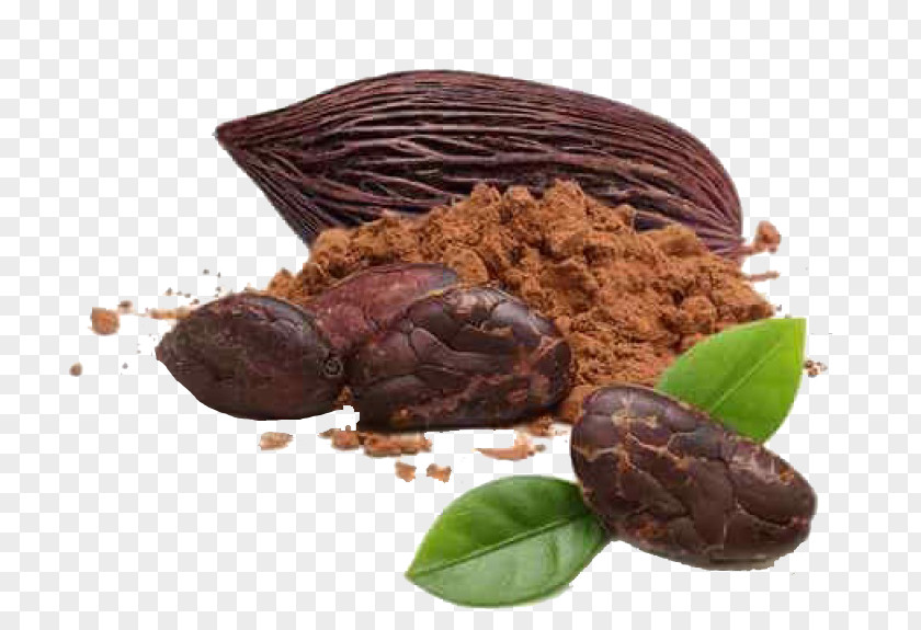 Chocolate Organic Food Peruvian Cuisine Tiramisu Criollo Cocoa Bean PNG