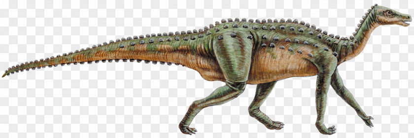 Cretaceous Dinosaur Thescelosaurus Genasauria Lagosuchus Cerapoda PNG