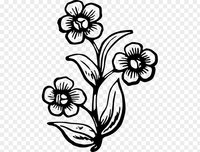 Flower Drawing Plant Painting PNG