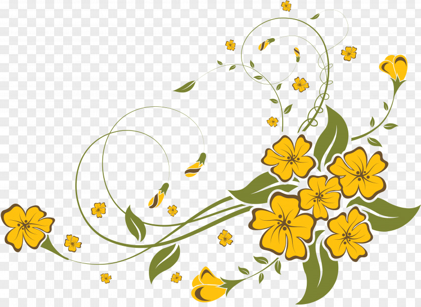 Flower Drawing Stock Photography Royalty-free PNG