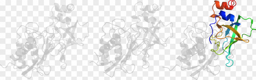 Graphic Design Line Art Clip PNG