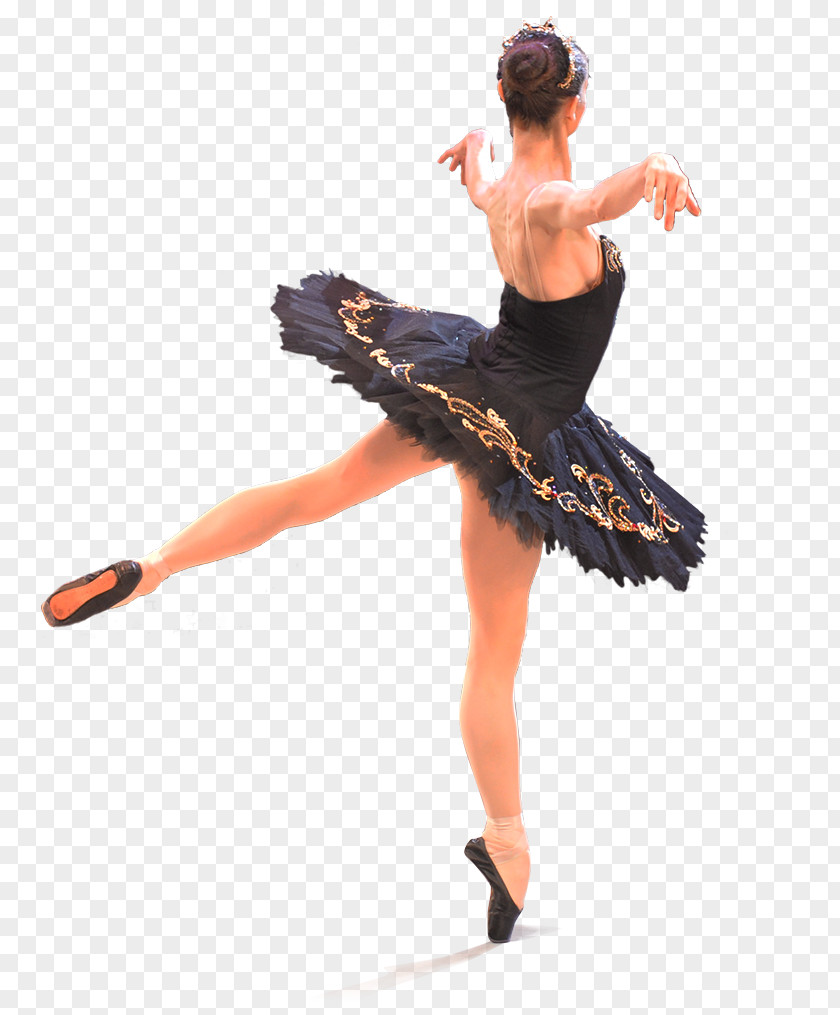 Ballet リサマリアブリティッシュバレエアーツ Choreographer Dance Tutu PNG