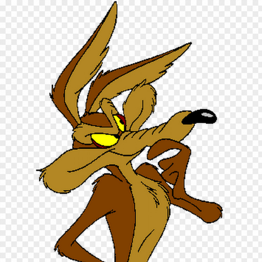 Coyote Wile E. And The Road Runner Looney Tunes Acme Corporation PNG