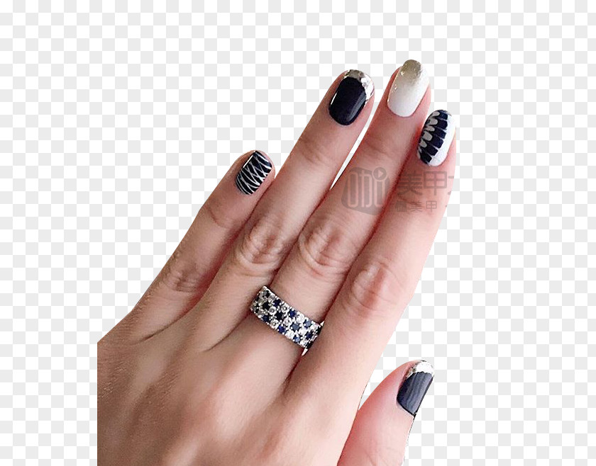 Finger Nail Digit PNG