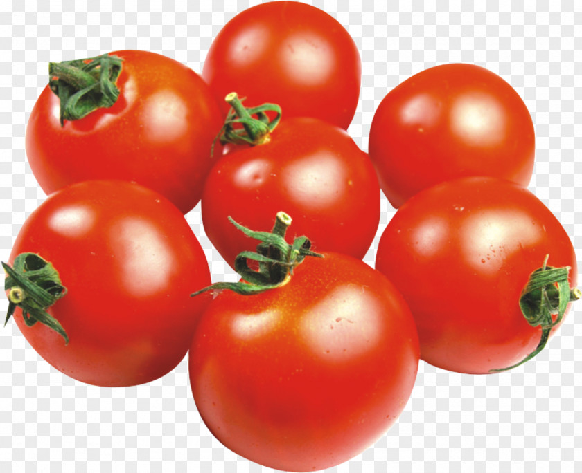 Fresh Red Tomatoes Tomato Juice Cherry Soup Fruit PNG