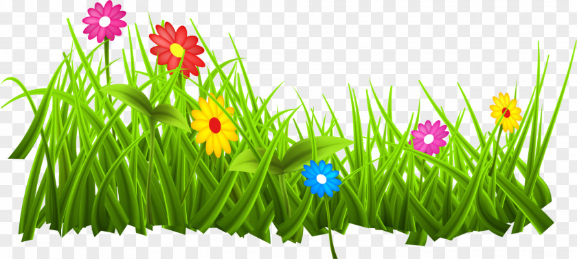 Green Grass Flowers PNG grass flowers clipart PNG