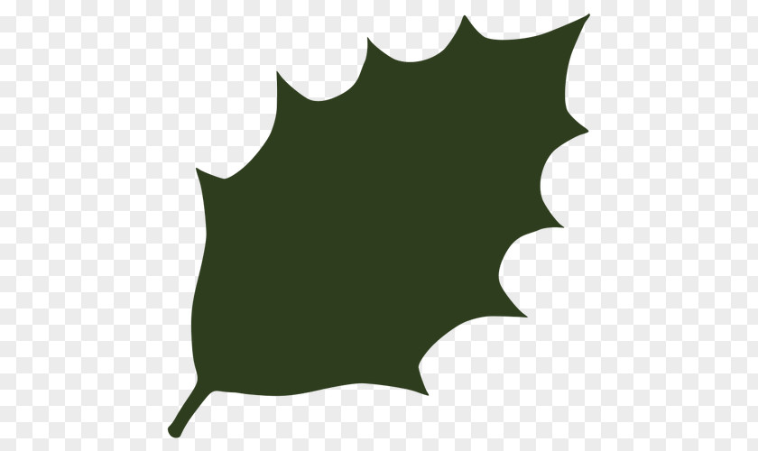 Leaf Vectors Maple Green Clip Art PNG
